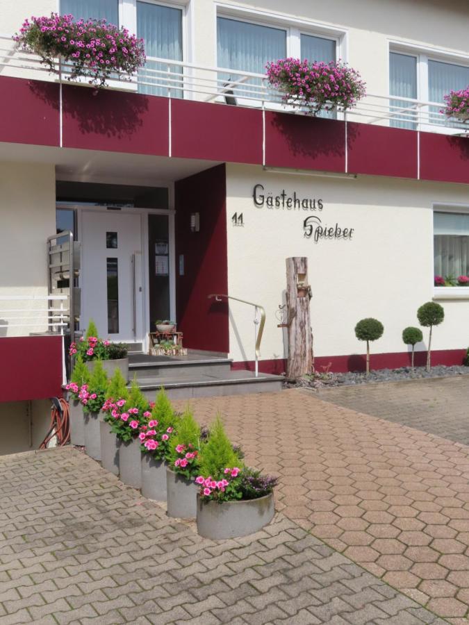 Gaestehaus Spieker Horn-Bad Meinberg Exterior foto